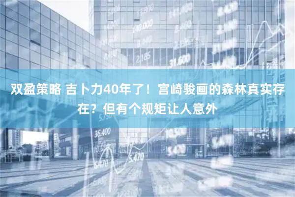 双盈策略 吉卜力40年了！宫崎骏画的森林真实存在？但有个规矩让人意外