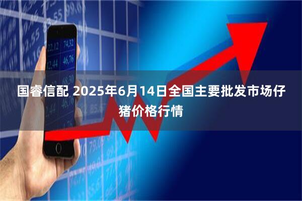 国睿信配 2025年6月14日全国主要批发市场仔猪价格行情