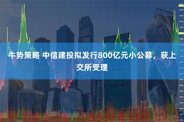 牛势策略 中信建投拟发行800亿元小公募，获上交所受理