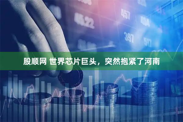 股顺网 世界芯片巨头，突然抱紧了河南